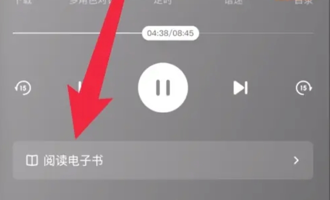 番茄畅听怎么看文字-番茄畅听看文字的方法(图4)