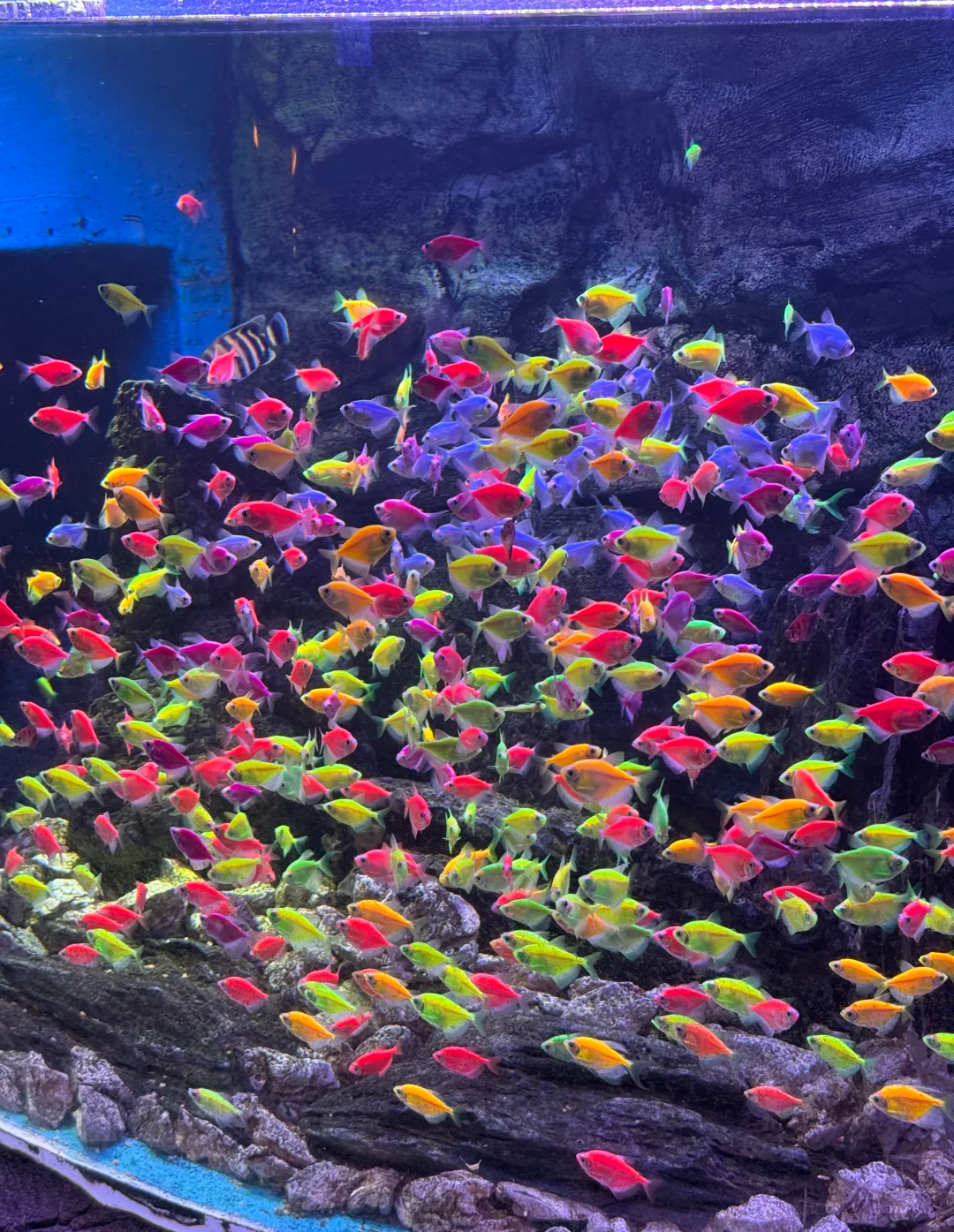 2024-2025山东黄金旅游线（济南泰山曲阜）优质旅行社深度评测与采购指南(图1)