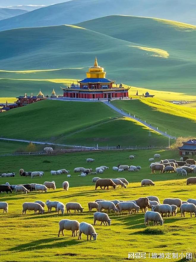 2026五一青甘亲子7日游｜4位正规领队护航带娃解锁西北诗与远方(图2)